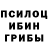 Псилоцибиновые грибы Cubensis Timur Drucov