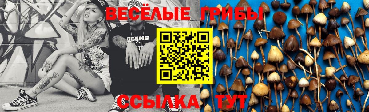 Псилоцибиновые грибы Psilocybine cubensis Заречный