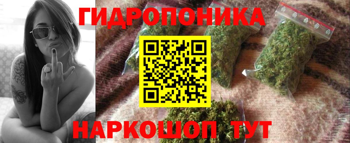 Бошки Шишки планчик  Вход с VPN  МАРИХУАНА план  Шишки марихуана план  Заречный 